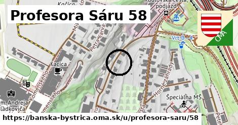 Profesora Sáru 58, Banská Bystrica