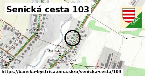 Senická cesta 103, Banská Bystrica