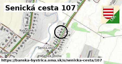 Senická cesta 107, Banská Bystrica