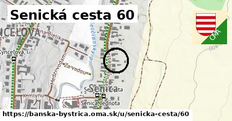 Senická cesta 60, Banská Bystrica