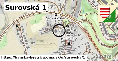 Surovská 1, Banská Bystrica