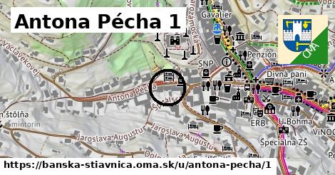 Antona Pécha 1, Banská Štiavnica
