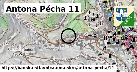 Antona Pécha 11, Banská Štiavnica
