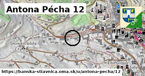 Antona Pécha 12, Banská Štiavnica