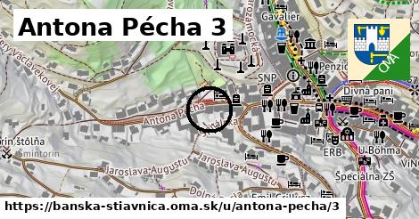Antona Pécha 3, Banská Štiavnica