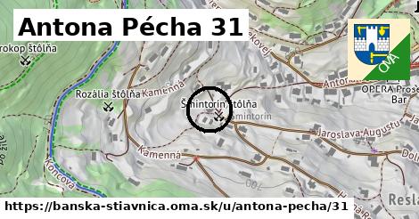 Antona Pécha 31, Banská Štiavnica