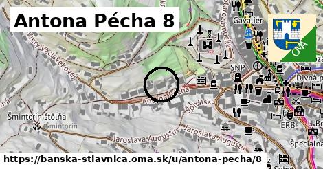 Antona Pécha 8, Banská Štiavnica