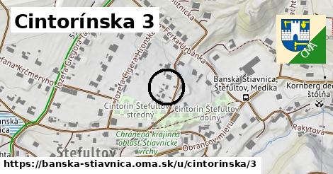 Cintorínska 3, Banská Štiavnica