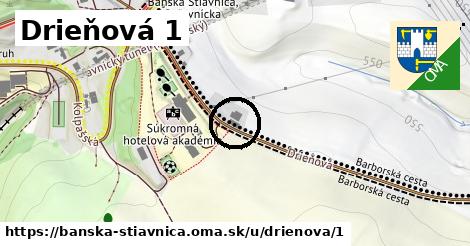 Drieňová 1, Banská Štiavnica