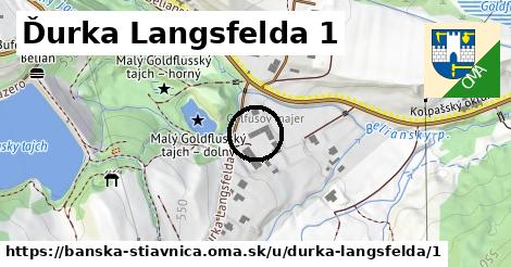 Ďurka Langsfelda 1, Banská Štiavnica