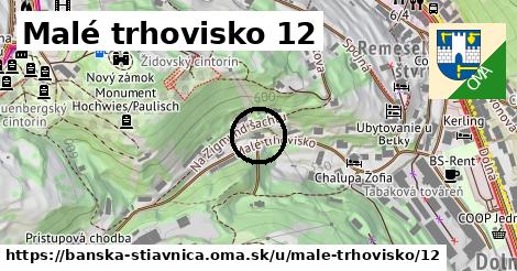 Malé trhovisko 12, Banská Štiavnica