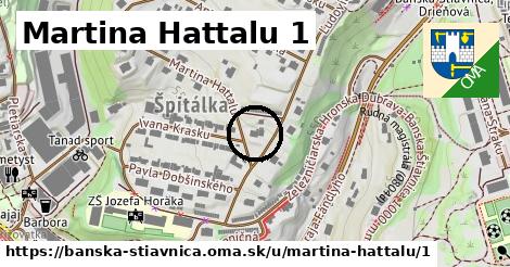 Martina Hattalu 1, Banská Štiavnica