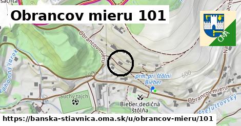 Obrancov mieru 101, Banská Štiavnica