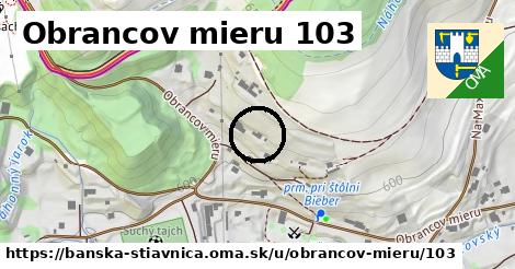 Obrancov mieru 103, Banská Štiavnica