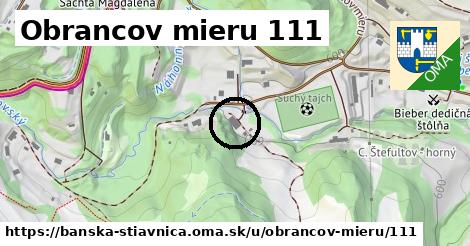 Obrancov mieru 111, Banská Štiavnica