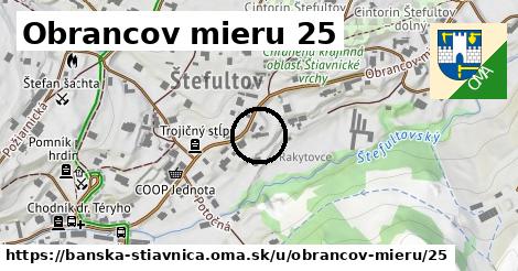 Obrancov mieru 25, Banská Štiavnica