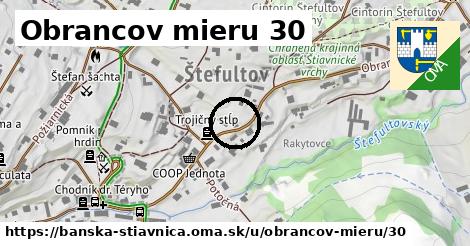 Obrancov mieru 30, Banská Štiavnica