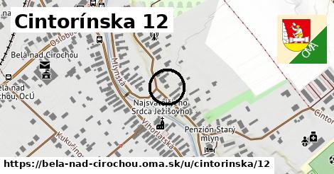 Cintorínska 12, Belá nad Cirochou