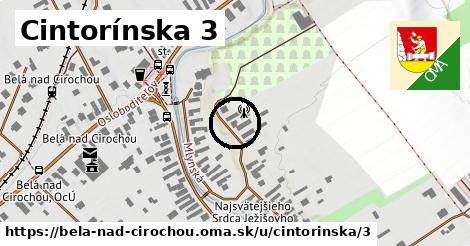 Cintorínska 3, Belá nad Cirochou