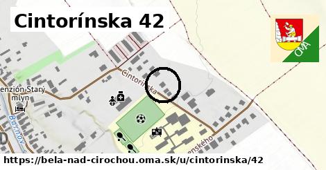 Cintorínska 42, Belá nad Cirochou