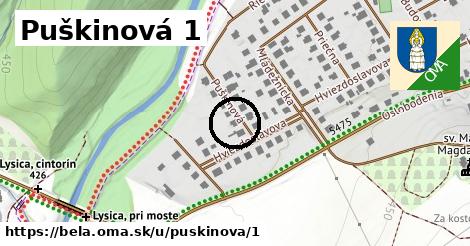 Puškinová 1, Belá