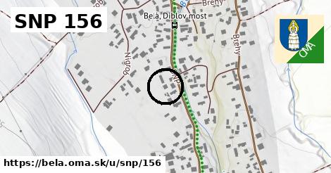 SNP 156, Belá
