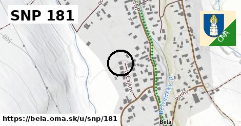 SNP 181, Belá