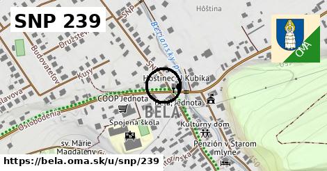 SNP 239, Belá