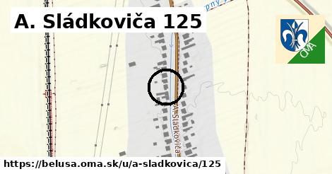 A. Sládkoviča 125, Beluša