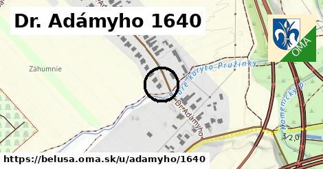 Dr. Adámyho 1640, Beluša