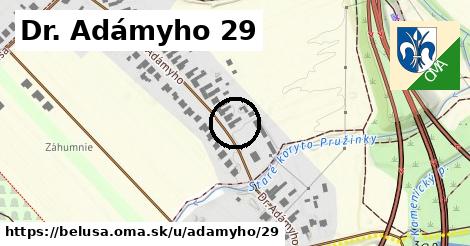 Dr. Adámyho 29, Beluša