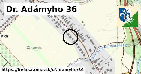 Dr. Adámyho 36, Beluša