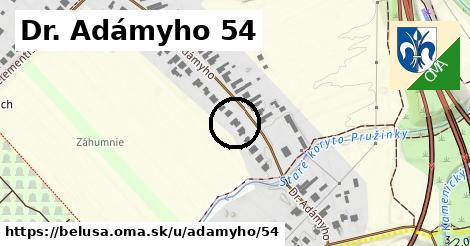 Dr. Adámyho 54, Beluša