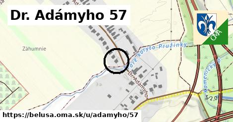 Dr. Adámyho 57, Beluša