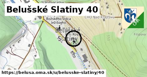 Belušské Slatiny 40, Beluša