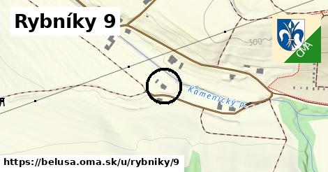 Rybníky 9, Beluša