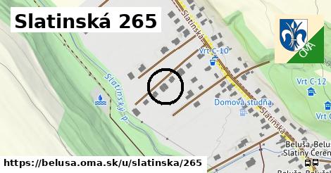 Slatinská 265, Beluša