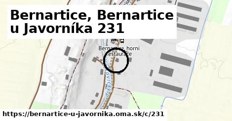 Bernartice, Bernartice u Javorníka <span class="supisne">231</span>