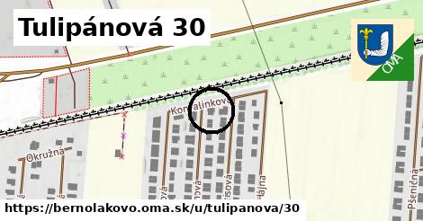 Tulipánová 30, Bernolákovo