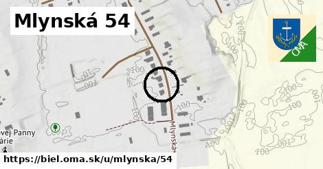 Mlynská 54, Biel