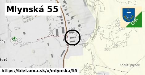 Mlynská 55, Biel