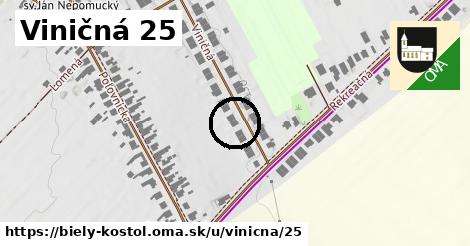 Viničná 25, Biely Kostol