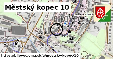 Městský kopec 10, Bílovec