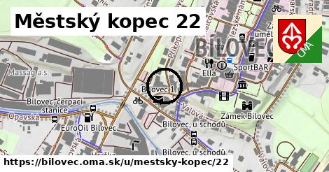 Městský kopec 22, Bílovec