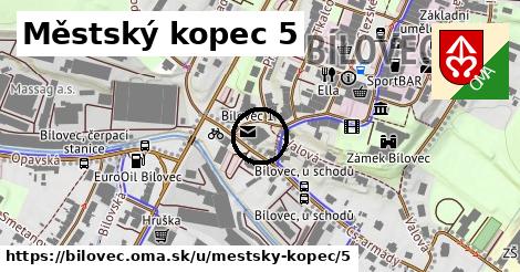 Městský kopec 5, Bílovec