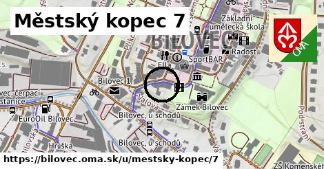 Městský kopec 7, Bílovec