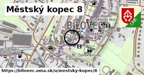 Městský kopec 8, Bílovec