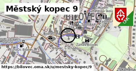 Městský kopec 9, Bílovec