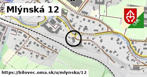 Mlýnská 12, Bílovec