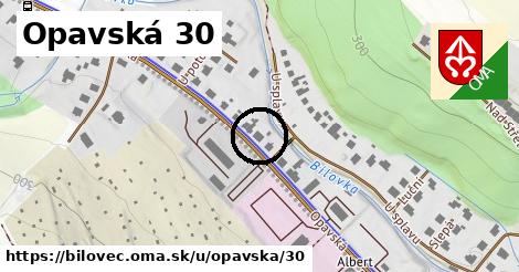 Opavská 30, Bílovec